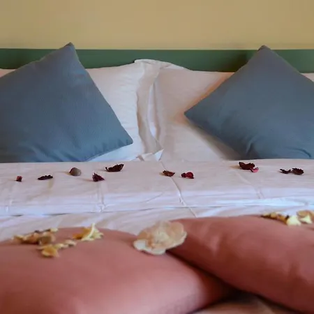 Hotel Diana 3*