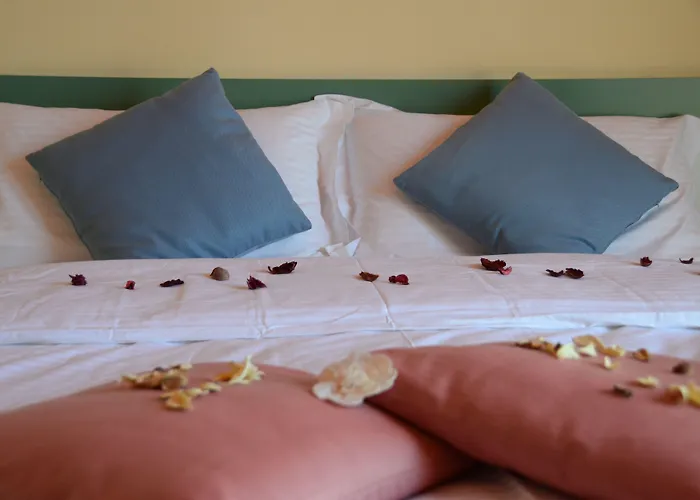 Hotel Diana 3*